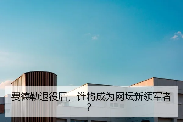 费德勒退役后，谁将成为网坛新领军者？